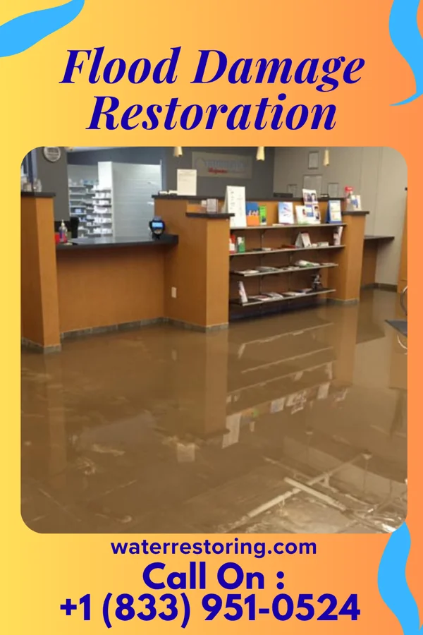 Flood Damage Restoration in Delta, LA