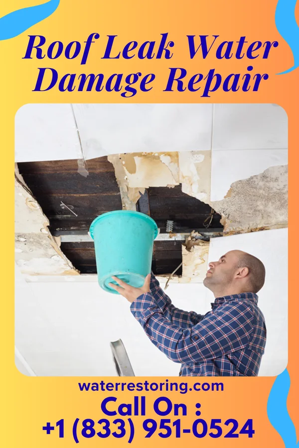 Roof Leak Water Damage Repair in Delta, LA