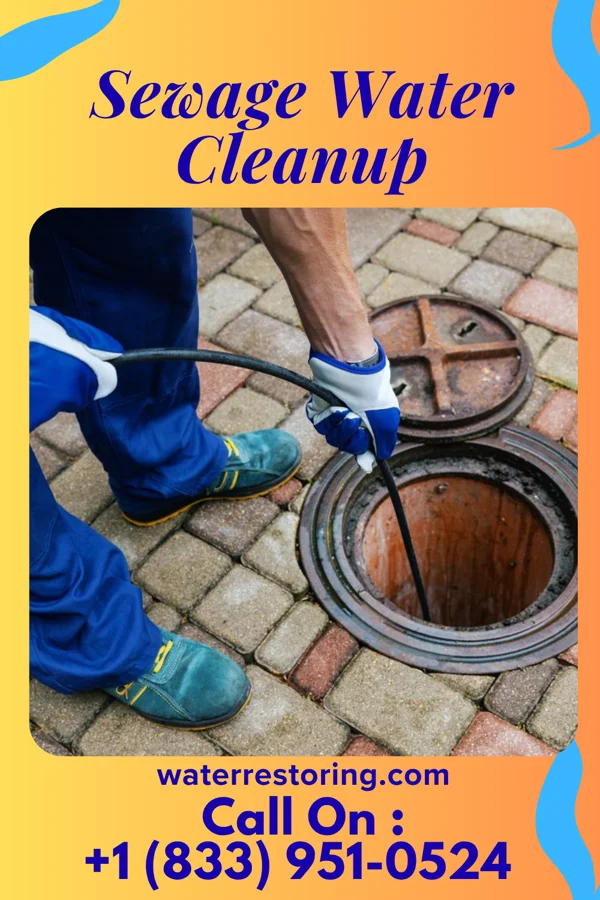 Sewage Water Cleanup in Delta, LA